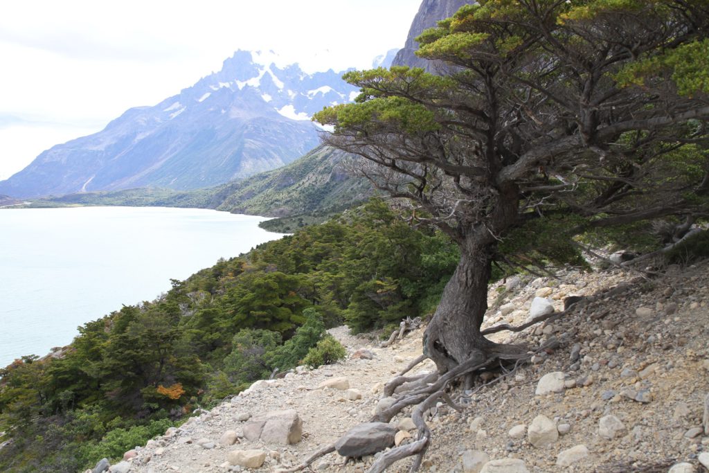 Seeblick (Foto: Jan Thomas Otte)