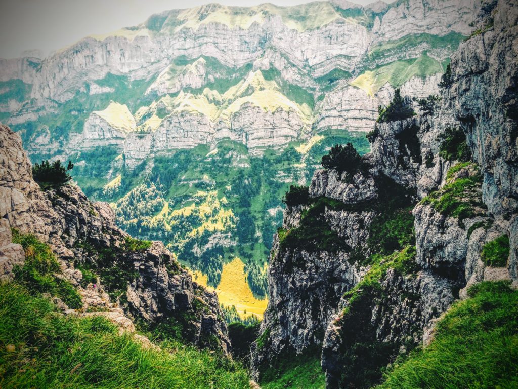 Grün, grüner - Appenzell. Blick auf die Ausläufer der Marwees (Foto: Jan Thomas Otte)