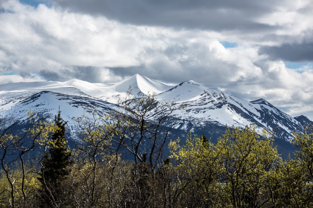 Blick von unserer Hütte in Atlin auf den Birch Mountain (Foto: Bernd Hofmaier & Katja Wegerer)