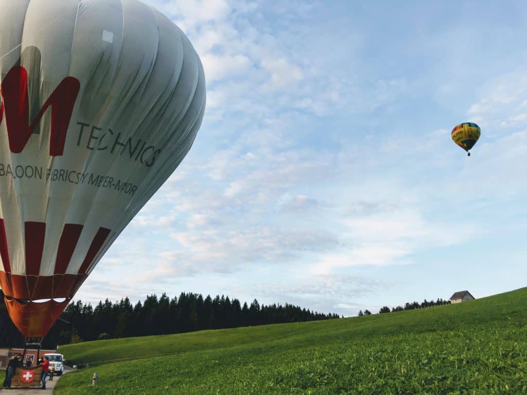 Zwischenlandung im Grünen (Foto: Jan Thomas Otte)